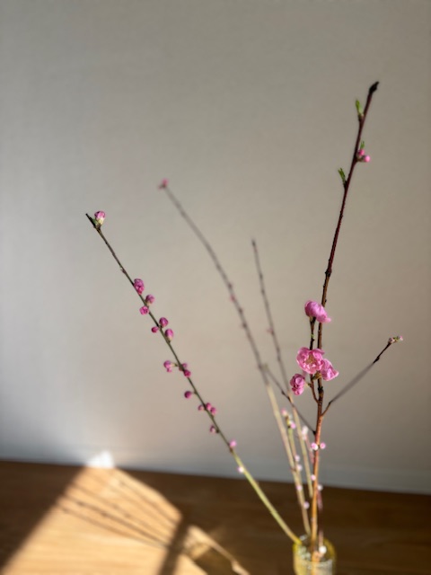 桃の花